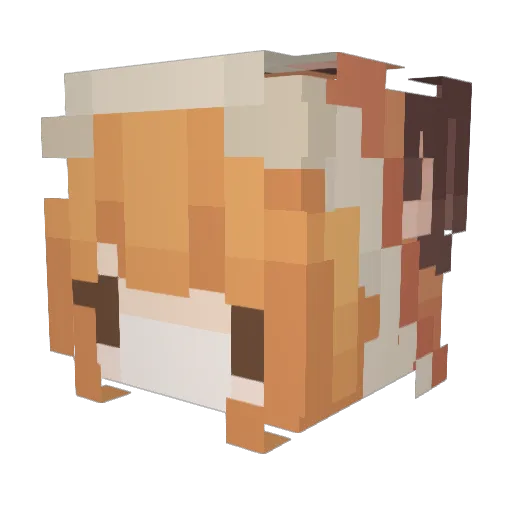 Strawberrygamer1 Minecraft avatar head, 3D render