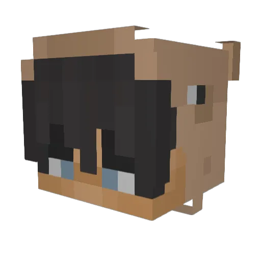 Strawberryjame Minecraft avatar head, 3D render