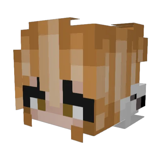StrawberyMelk Minecraft avatar head, 3D render
