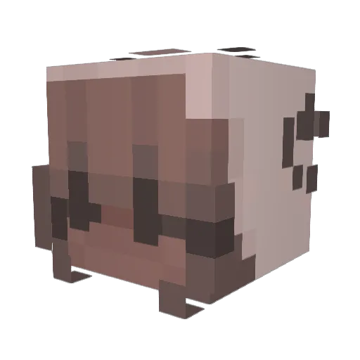 Strawbz_ Minecraft avatar head, 3D render