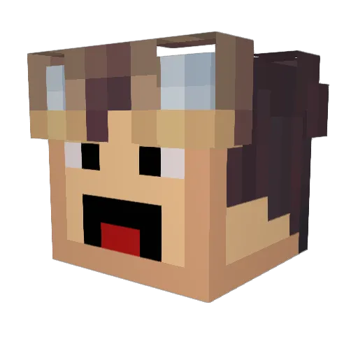 Stray04 Minecraft avatar head, 3D render