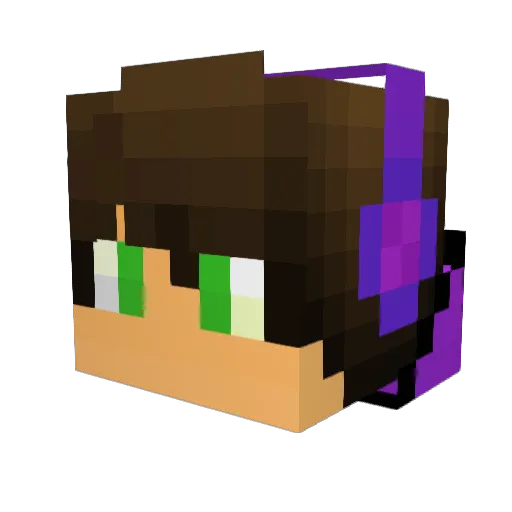 StrayCat97241 Minecraft avatar head, 3D render