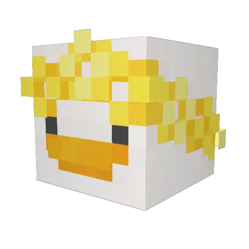StrayDucky Minecraft avatar head, 3D render