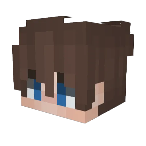 StrayZix_ Minecraft avatar head, 3D render