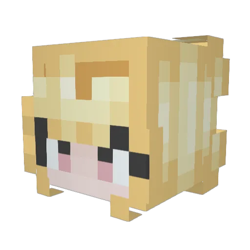 Stray_Genderfae Minecraft avatar head, 3D render