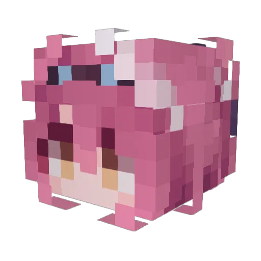 Stray_Moneky Minecraft avatar head, 3D render