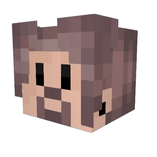 Strayshir Minecraft avatar head, 3D render