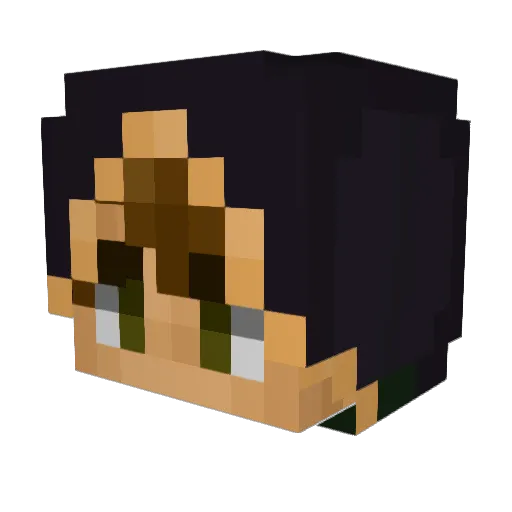 StreamAlliance Minecraft avatar head, 3D render