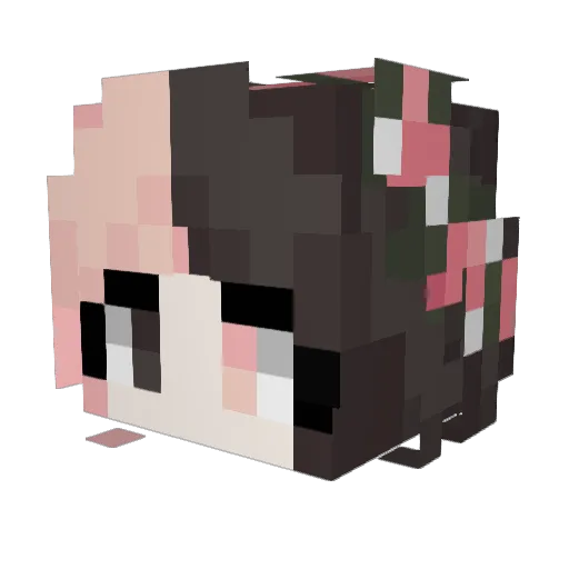 Streamelly256 Minecraft avatar head, 3D render