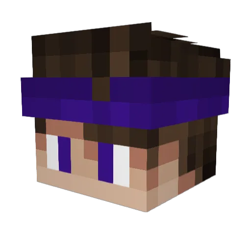 StreeTay_ Minecraft avatar head, 3D render