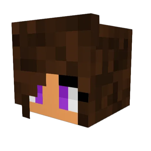 Streefighter Minecraft avatar head, 3D render