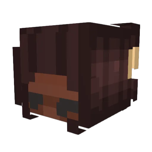 Street0p Minecraft avatar head, 3D render