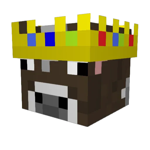 StreetFighterLan Minecraft avatar head, 3D render