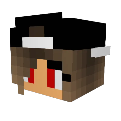 Streetdancer277 Minecraft avatar head, 3D render