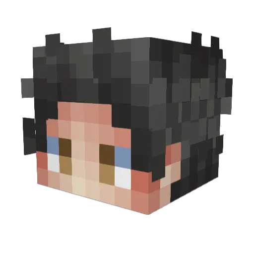 Streetrights Minecraft avatar head, 3D render
