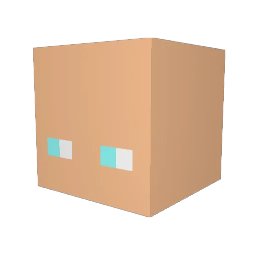 Streetztv Minecraft avatar head, 3D render