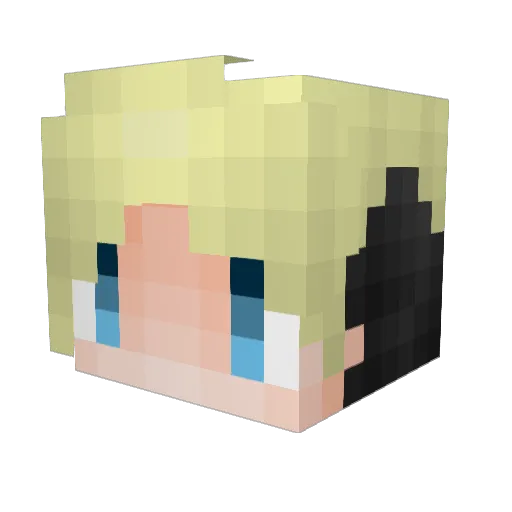 Strelitzia39 Minecraft avatar head, 3D render