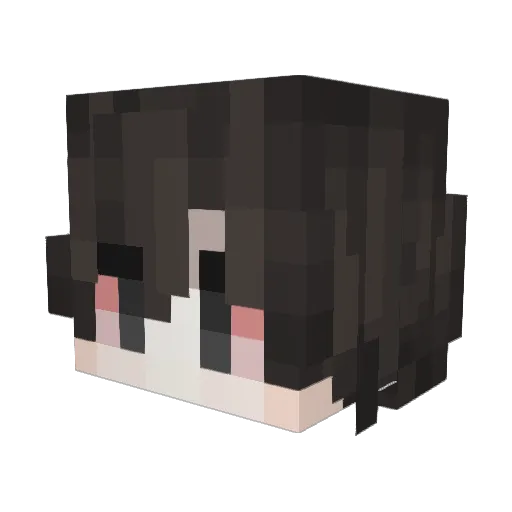 StressedPoop Minecraft avatar head, 3D render