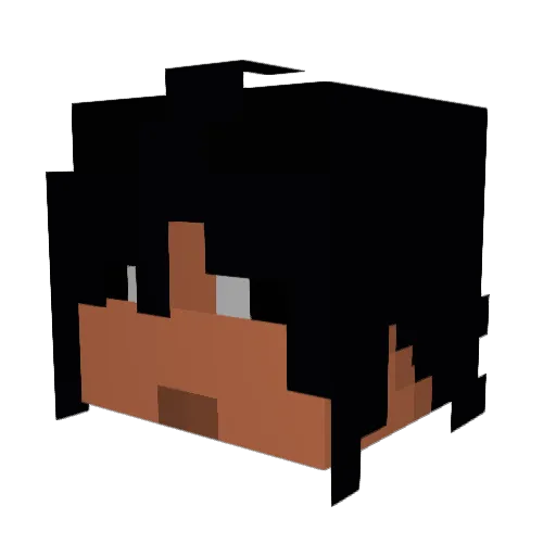 Stressfish Minecraft avatar head, 3D render