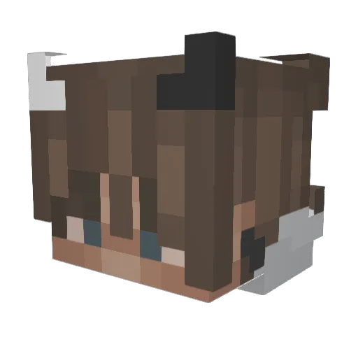 StrgC Minecraft avatar head, 3D render