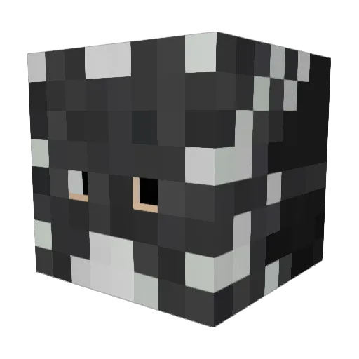 StriatedCrown12 Minecraft avatar head, 3D render