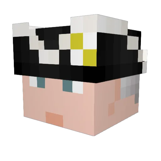 Strider91 Minecraft avatar head, 3D render