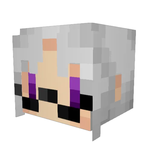 Strider_tobikage Minecraft avatar head, 3D render