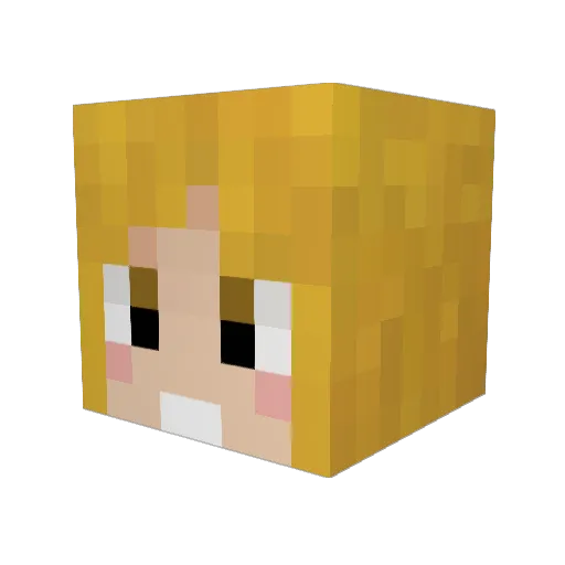 Strife_zero Minecraft avatar head, 3D render