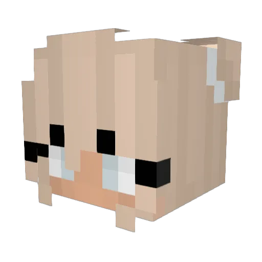 StrigaDeWayne666 Minecraft avatar head, 3D render