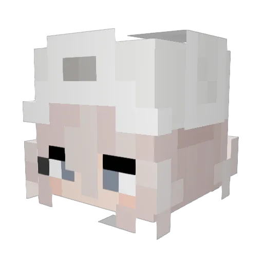 Striker2428 Minecraft avatar head, 3D render