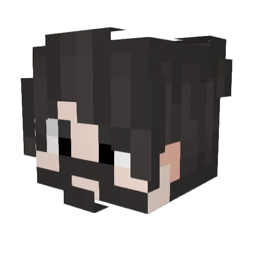 StrikerZ1n Minecraft avatar head, 3D render