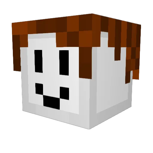 Strikeramd211 Minecraft avatar head, 3D render