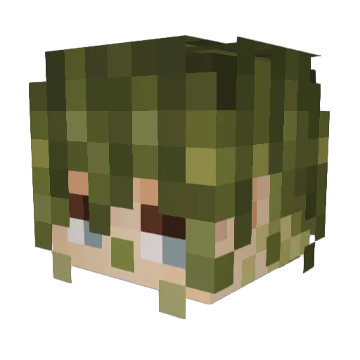 String_Parae Minecraft avatar head, 3D render