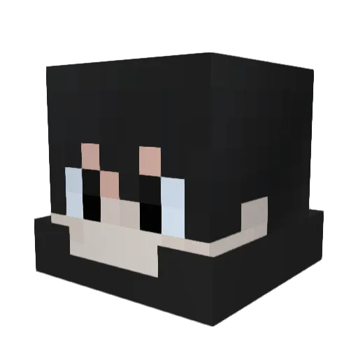 String__name Minecraft avatar head, 3D render