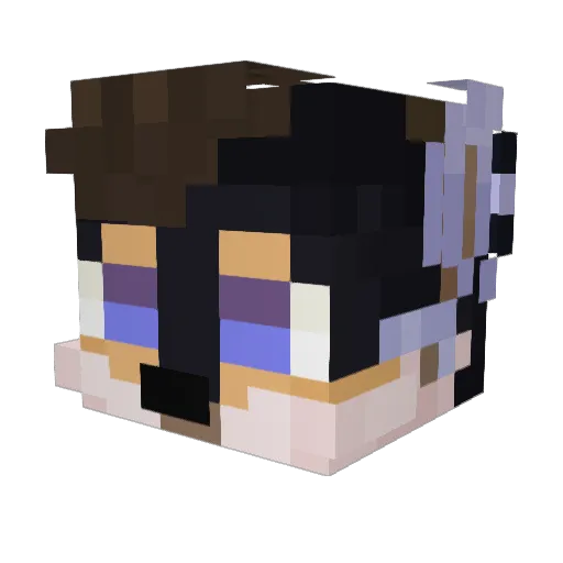 StringedCheez Minecraft avatar head, 3D render