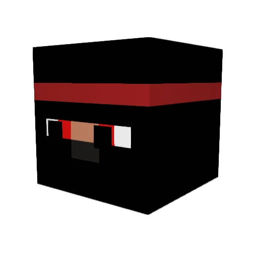 StringrayJ Minecraft avatar head, 3D render