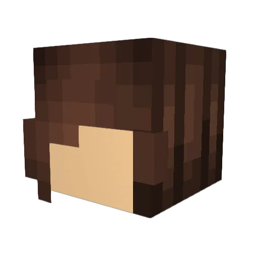 StripedCuckoo Minecraft avatar head, 3D render