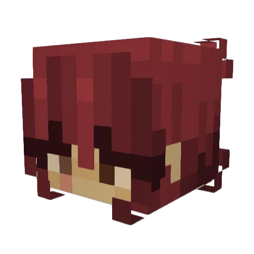 StripeyDash2 Minecraft avatar head, 3D render