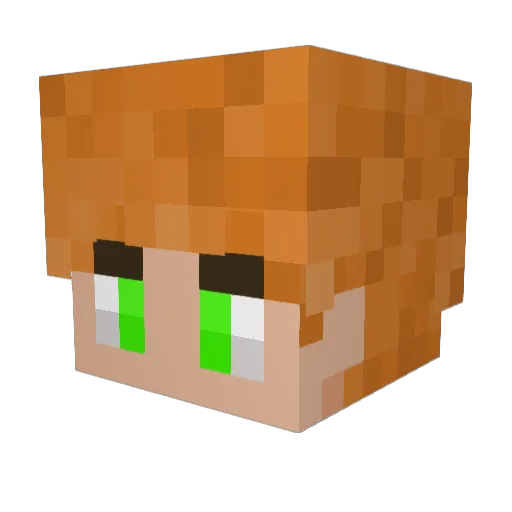 Stripysockz Minecraft avatar head, 3D render