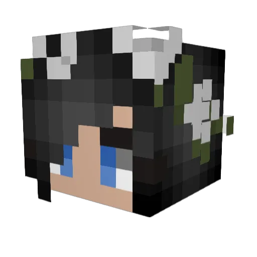 StriveToResist Minecraft avatar head, 3D render