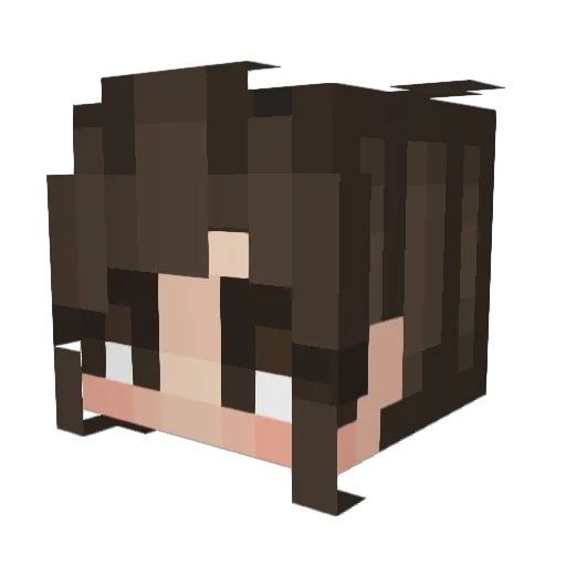 StrixStar Minecraft avatar head, 3D render