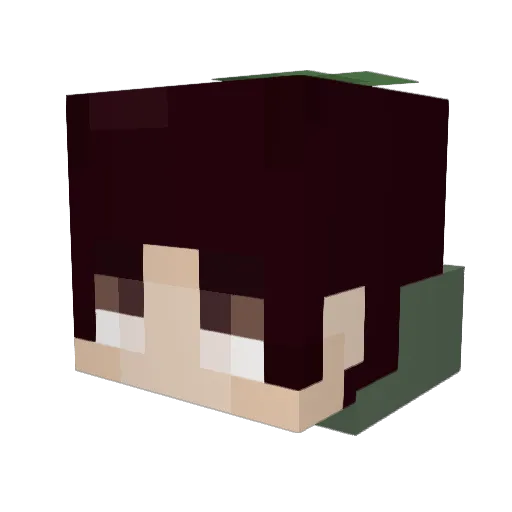 StrobberyBoi Minecraft avatar head, 3D render