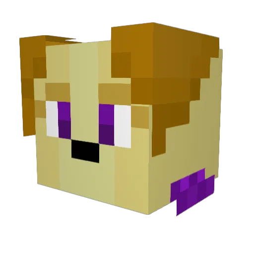 Stroker Minecraft avatar head, 3D render