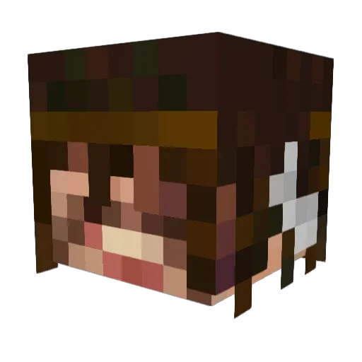 Strollll Minecraft avatar head, 3D render