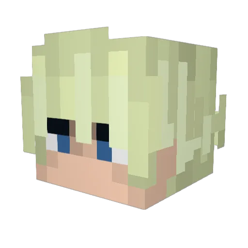 Stroodle_37 Minecraft avatar head, 3D render