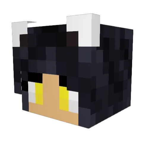 Strooper1 Minecraft avatar head, 3D render
