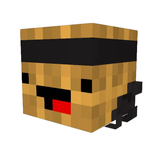 Stroopwafel41 Minecraft avatar head, 3D render