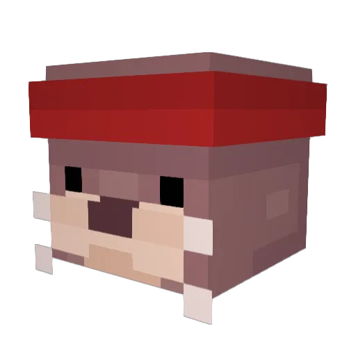 StroopwafelI Minecraft avatar head, 3D render