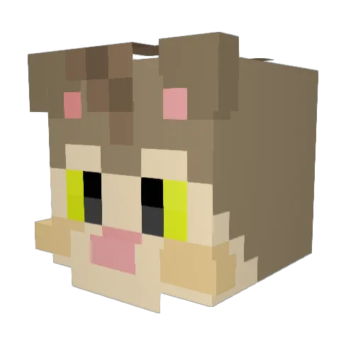 Struemi Minecraft avatar head, 3D render