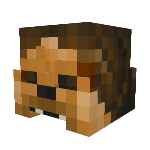 Struuu Minecraft avatar head, 3D render